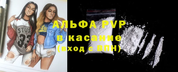 стаф Белокуриха