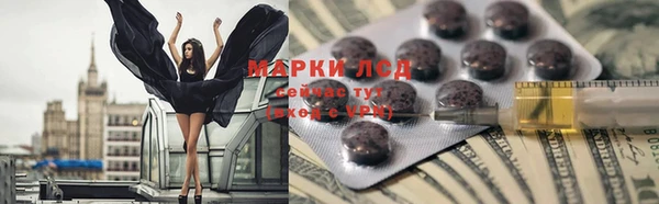 стаф Белокуриха