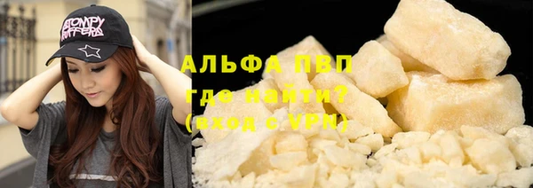 стаф Белокуриха