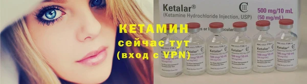 прущие грибы Балабаново
