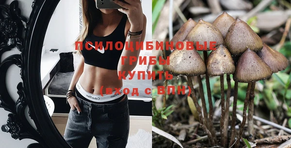 спиды Белоозёрский