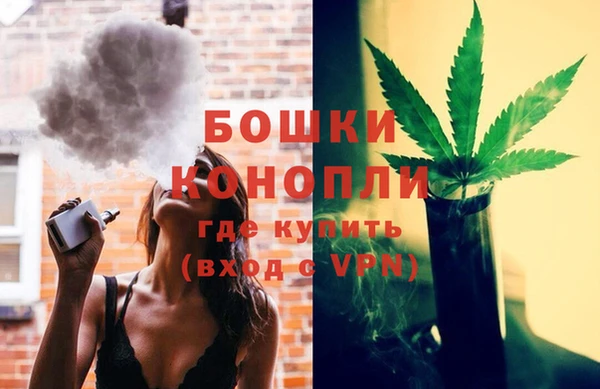 стаф Белокуриха