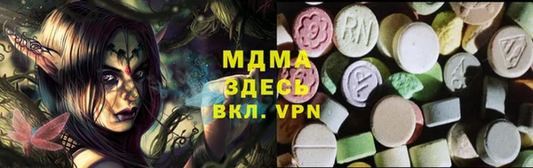стаф Белокуриха