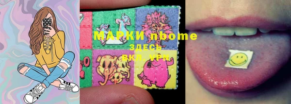 стаф Белокуриха